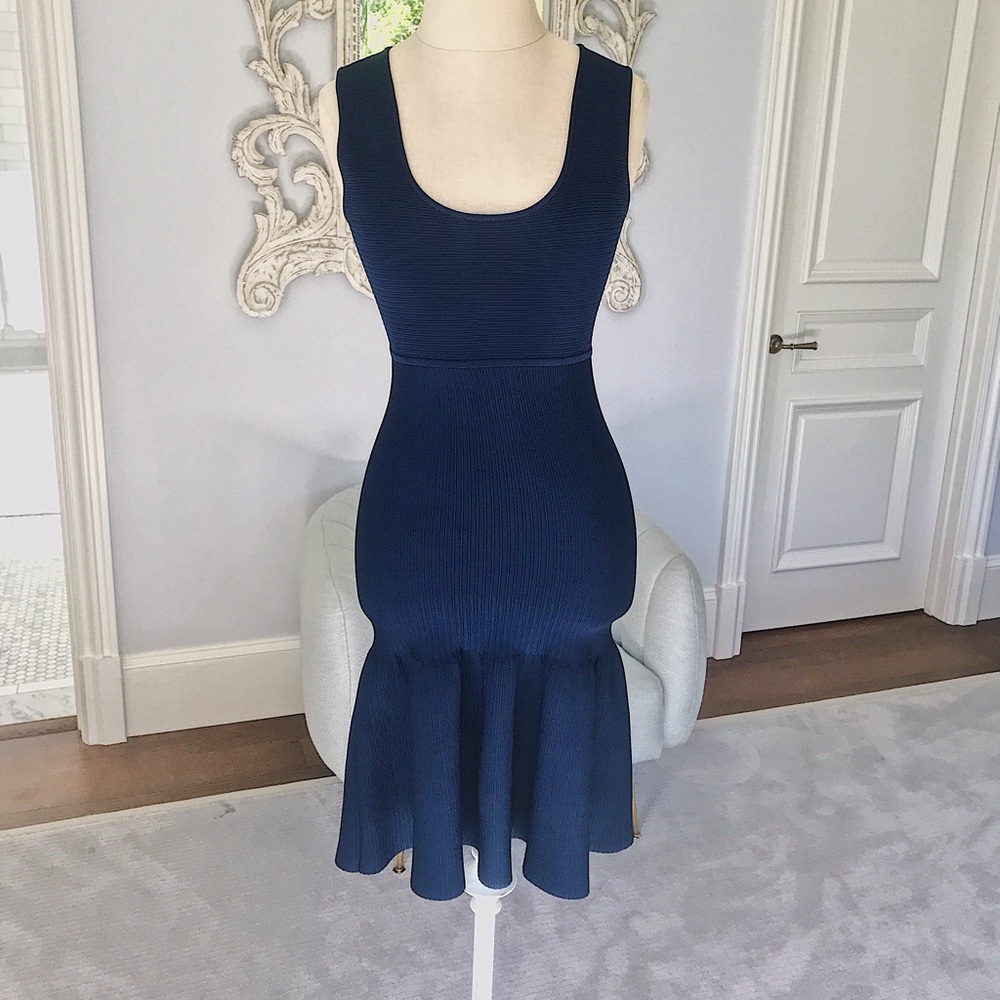 Issa Navy Dress